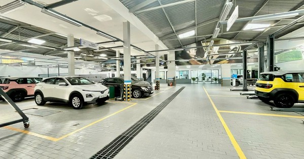 Bán gần 700 xe VinFast trong 3 tháng, CTCP Tập đoàn Tương lai Việt (VFG) có gì?