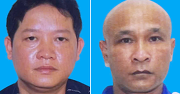 Danh tính 9 bị can liên quan vụ 120 tấn thịt nhiễm dịch tả làm thịt hộp ở Công ty Đồ hộp Hạ Long