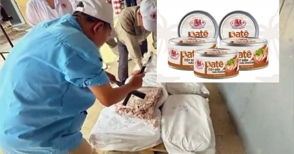 Vụ bê bối Công ty CP Đồ hộp Hạ Long: Phát hiện virus dịch tả lợn châu Phi cả ở thành phẩm