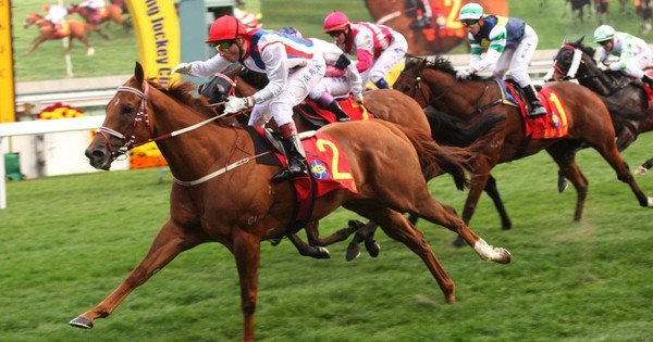 Thị phần môi giới của SSI trên HoSE lên cao nhất 22 quý