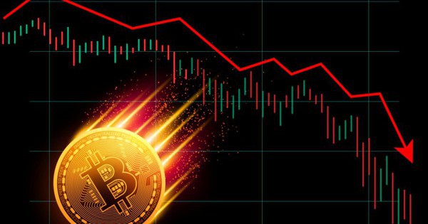 Thị trường tiền số hôm nay, 8-1: Lý do khiến hơn 50% nhà đầu tư Việt thua lỗ