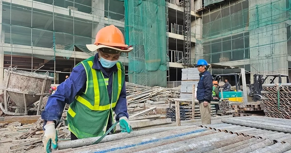 Cần tính đến phương án nhập khẩu nhân công