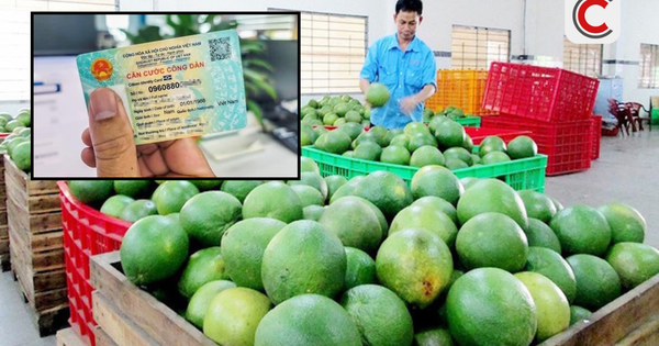 Cục Thuế nói rõ việc yêu cầu người bán hàng phải cung cấp CCCD để kê khai