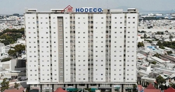 Hodeco ‘rót’ 100 tỷ đồng góp vốn thành lập công ty có trụ sở đặt tại TP.HCM