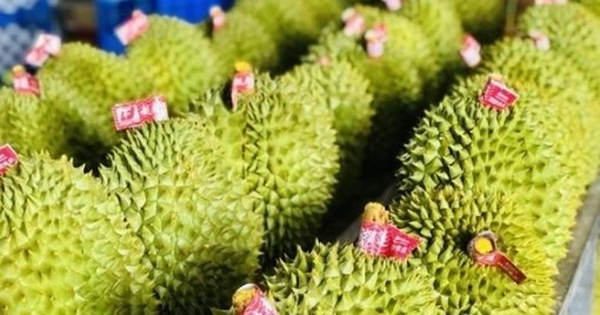 Buồn của sầu riêng Thái Lan, Việt Nam: Thêm một đối thủ chính thức mang hàng đông lạnh sang Trung Quốc