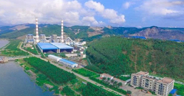 Nhiệt điện Quảng Ninh sắp chi 450 tỷ đồng tạm ứng cổ tức năm 2025