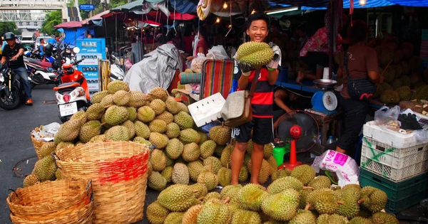 Truyền thông Thái Lan: Trong 3 năm tới, Việt Nam sẽ vượt Thái Lan ở lĩnh vực tỷ đô