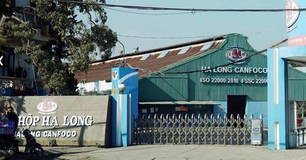 Công ty đồ hộp Hạ Long hoạt động thế nào, ai đang quản lý?