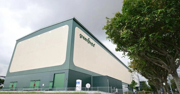 'Chung cư trồng rau' cao nhất thế giới ngay gần Việt Nam: rộng 2ha, công suất 2.000 tấn rau/năm, vận hành chỉn chu ngang nhà máy công nghệ cao