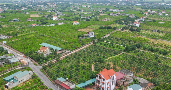 Tháo gỡ vướng mắc các dự án đất đai và triển khai Chương trình mục tiêu quốc gia