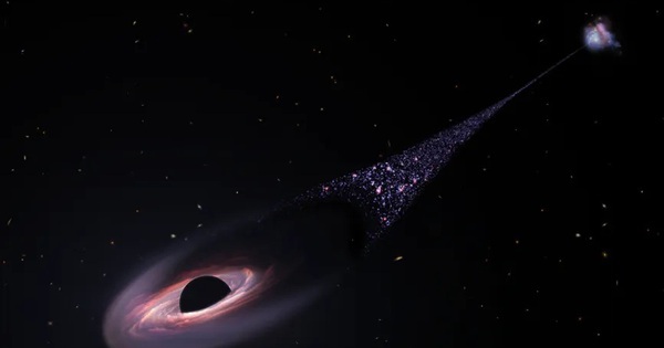 Loại vật thể chưa từng thấy vừa lướt qua kính viễn vọng