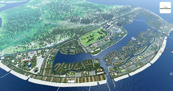 CEO VinEnergo: “Sự an toàn của hệ sinh thái biển Cần Giờ là ưu tiên tối thượng”