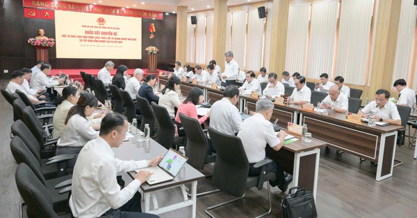 Đoàn Đại biểu Quốc hội TPHCM khảo sát tại Tập đoàn Công nghiệp Cao su Việt Nam