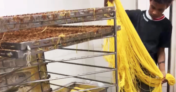 800 tấn mì tươi "ngậm" hóa chất, tuồn ra thị trường ở TP.HCM: Ăn vào nguy hiểm ra sao?