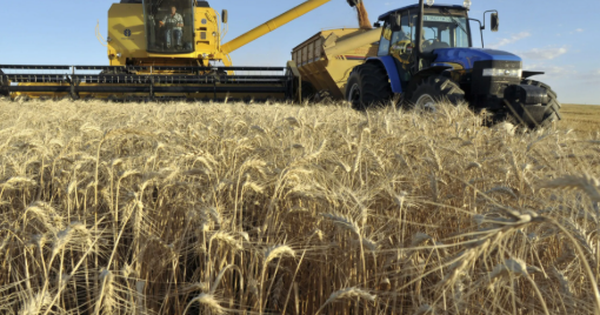 Hơn 700 nghìn tấn hàng từ Ukraine đổ bộ Việt Nam trong năm 2025, là mặt hàng nước ta gần như không trồng được