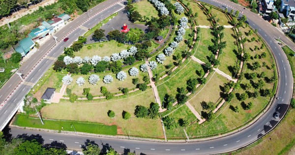 Đề nghị truy tố Chủ tịch HĐQT Công ty cây xanh Công Minh