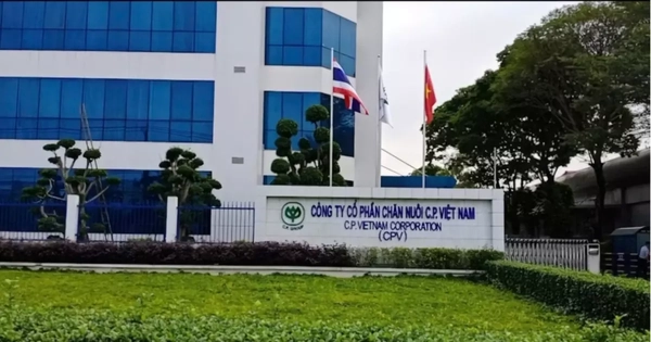 Thanh tra ba 'ông lớn' cung cấp thịt sạch, thức ăn chăn nuôi