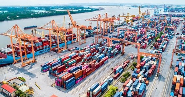 Cổ phiếu "gã khổng lồ" ngành logistics "tím lịm" sau khi đánh tiếng thoái vốn Nhà nước, vốn hóa chạm ngưỡng 3 tỷ USD