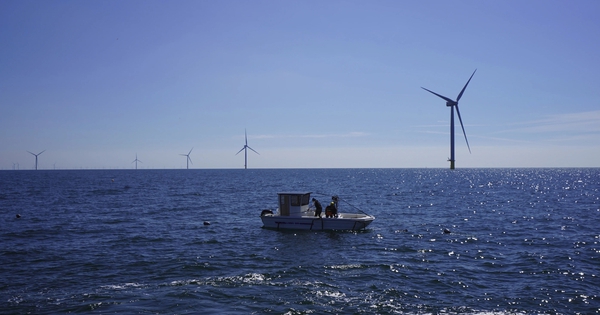 Quyền lực "vàng đen": Giá đắt của mặt trái