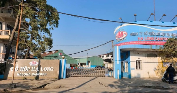 Vụ Đồ hộp Hạ Long: Phát hiện hành vi đưa, nhận hối lộ để cấp giấy kiểm dịch