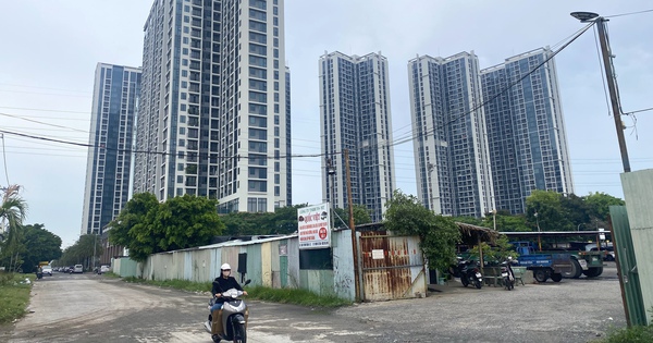 TPHCM: Quỹ đất 1.730 ha phát triển nhà ở xã hội