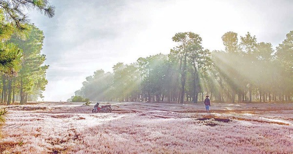 Sau nhiều năm chờ đợi, tin vui đã đến với dự án sân golf nghìn tỷ của Tập đoàn FLC tại Dak Đoa, Gia Lai