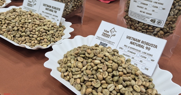 Giá cà phê hôm nay 16-1: Tăng 4 phiên liên tục, Robusta vượt mốc 4.000 USD/tấn
