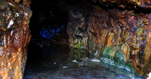 Phát minh biến "vua của các chất độc" thành báu vật chiến lược có thể rung chuyển ngành chip bán dẫn