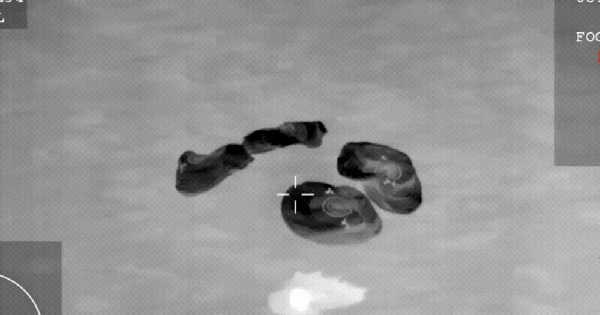 Khoảnh khắc lịch sử: 4 phi hành gia vừa trở về Trái đất sau 1 sự kiện chưa từng có tiền lệ!