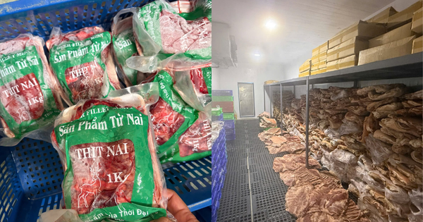 Cận cảnh kho thịt heo "đội lốt" đà điểu, dê, nai, nhím tuồn ra thị trường vừa bị triệt phá