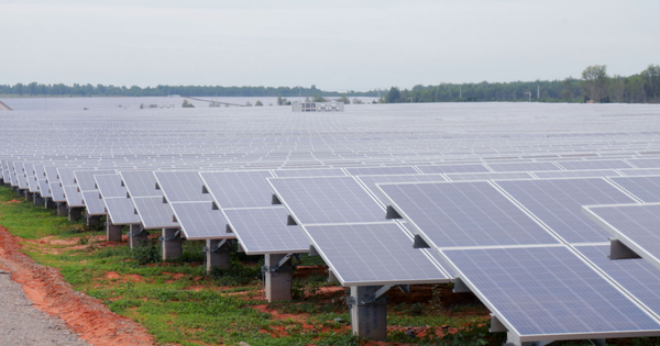 Xử phạt loạt doanh nghiệp liên quan đến WTO