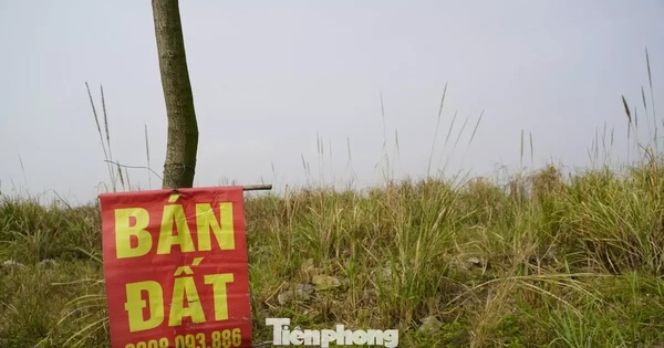 Dự án mắc kẹt hơn 20 năm, nhiều lô đất trùng