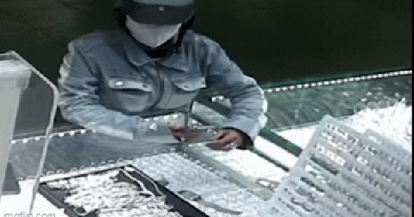Người phụ nữ trộm vàng trắng trị giá 160 triệu bị bắt sau 7 giờ truy xét: Quá khứ bất hảo