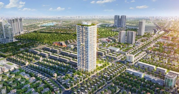 Một đơn vị liên quan và Chủ tịch Sông Đà 1.01 bị xử phạt hàng trăm triệu đồng vì “mua - bán chui” cổ phiếu SJC