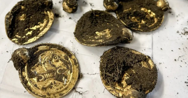 Đang đi chơi, người đàn ông nhặt được "kho báu" vàng