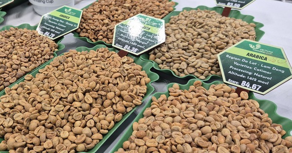 Giá cà phê hôm nay 18-1: Bầu Đức nói về giá cà phê hiện tại