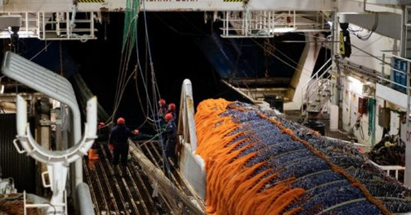 Nga đón tin vui chưa từng có ngay tại láng giềng Việt Nam