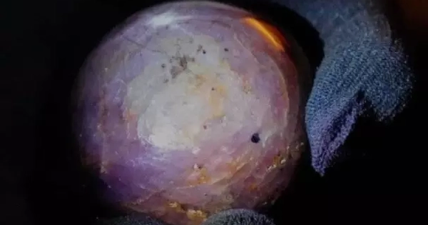Công bố viên sapphire sao tím quý hiếm lớn chưa từng thấy