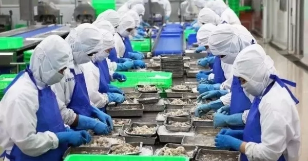 Lý do xuất khẩu thủy sản Việt Nam vượt 11 tỷ USD