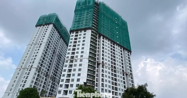 Phân khúc trụ cột của thị trường bất động sản 2026