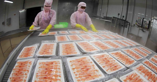 Ngành kinh tế tỷ đô của Việt Nam ghi nhận kỷ lục chưa từng có