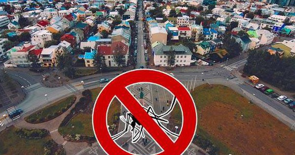 Một quốc gia không có bất kỳ con muỗi nào