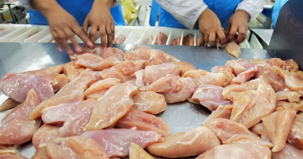 Mỹ thu hồi thịt gà tại 7 tiểu bang do nghi ngờ nhiễm khuẩn listeria