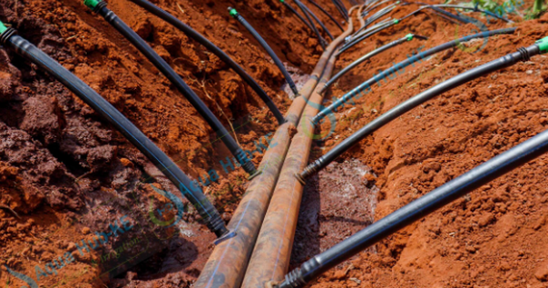 "Phát minh thế kỷ" của Israel rung chuyển thế giới, làm bùng nổ thị trường gần 10 tỷ USD