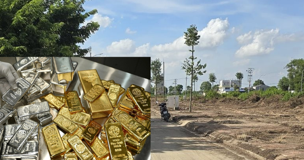 "Đủ đỉnh" đất từ cơn sốt 2021-2022, nhà đầu tư vẫn chưa về bờ than: "Giá như không bỏ 3 tỷ đồng mua mảnh đất 2.800m2 thì đã có vốn đầu tư vàng, bạc"