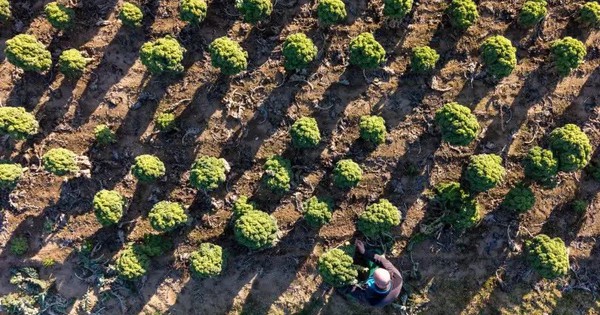 Thế giới bước vào kỷ nguyên “phá sản nguồn nước”