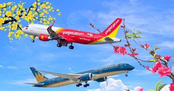 Muốn mai, đào Tết 'đi máy bay', khách hàng phải chi bao nhiêu?