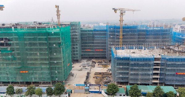 Bất động sản 2026: Neo giữ dòng tiền an toàn?