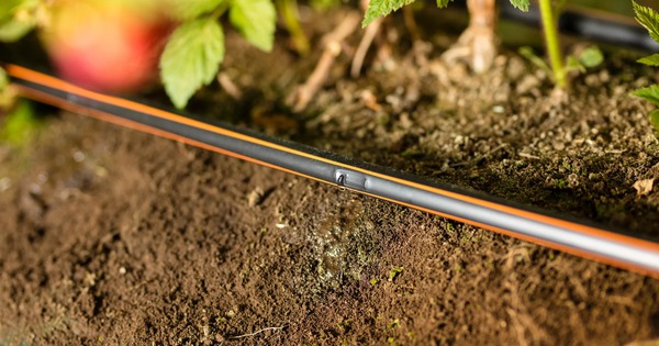 Việt Nam áp dụng thành công "phát minh thế kỷ" của Israel