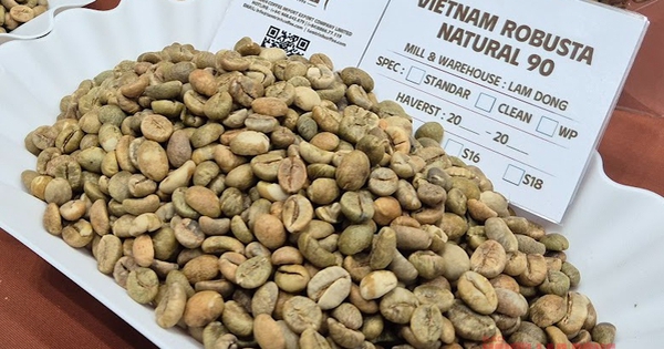 Giá cà phê hôm nay 24-1: Quay lại đà tăng 3 con số với Robusta